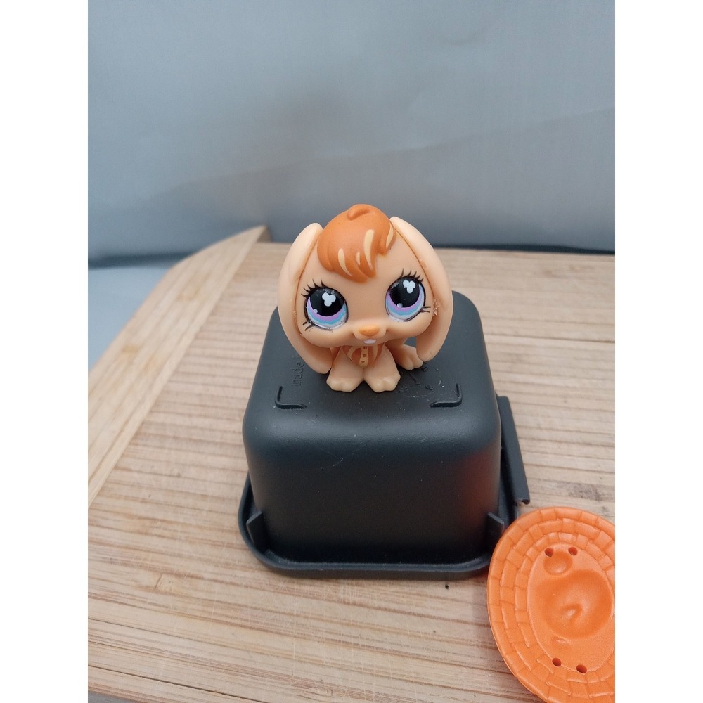 Littlest Pet Shop~#480~Bunny Rabbit~Lop Ears~Orange~Clover Eyes~Hat~Get Together - Picture 8 of 10